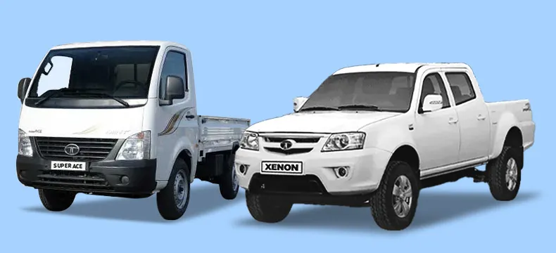 Morocco Blog-Super Ace, Xenon